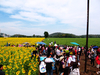 รูปย่อ ทริปหารค่าใช้จ่าย (กรุงเทพ-ทุ่งทานตะวัน-เจ็ดสาวน้อย) รูปที่2