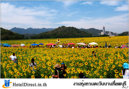 ทริปหารค่าใช้จ่าย (กรุงเทพ-ทุ่งทานตะวัน-เจ็ดสาวน้อย) รูปที่ 1