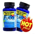 FUCO - ฟูโก้ (พุงหาย แขนลด ขาเล็ก