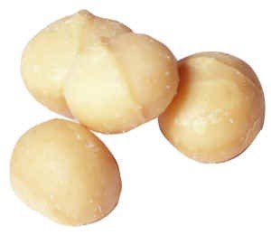 Raw Macadamia Nuts - ( 1 lb) รูปที่ 2