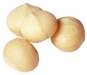 รูปย่อ Raw Macadamia Nuts - ( 1 lb) รูปที่2