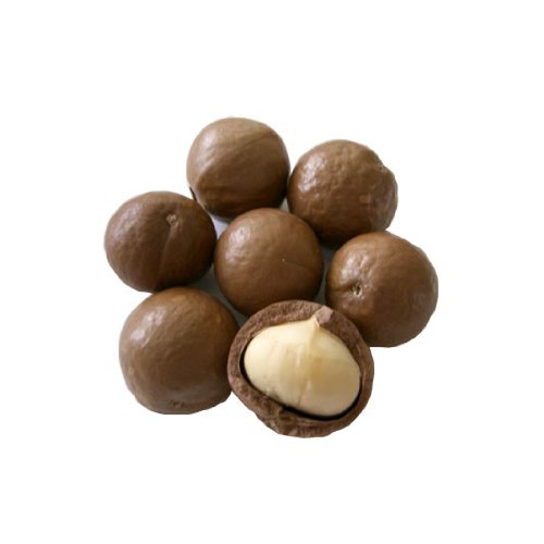 1 Pound Hawaiian Raw Hawaii Macadamia Nuts in Shell รูปที่ 3