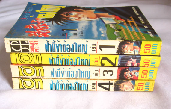 หนังสือมือสอง การ์ตูนมือสอง ขายโละ ล้างสต๊อก การ์ตูน นิยาย คู่มือทำอาหาร ท่องเที่ยว คอมพิวเตอร์ และอีกมากมายลดทุกเล่ม ถูกสุดๆ รูปที่ 3