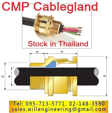 A2F Cable Gland (Explosion proof) รูปที่ 6
