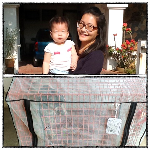รับส่งสัตว์เลี้ยง รับจากที่หน้าบ้านท่านทั่วกรุงเทพและปริมณฑล ส่งทั่วประเทศ รูปที่ 6