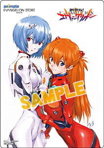 evagelion vol13 (limited edition) รูปที่ 4