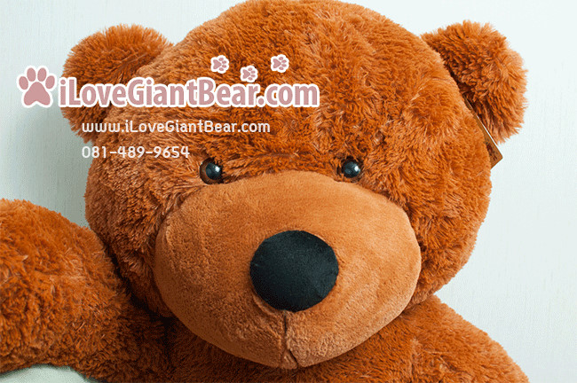 ตุ๊กตาหมีตัวใหญ่ 1.8 เมตร สีน้ำตาล ตากลม ราคาถูก จัดส่งทั่วประเทศ รูปที่ 1