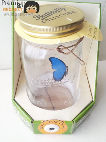 >>>ผีเสื้อในโหลแก้ว,(ButterFly Toy Jar),ของขวัญ<<< รูปที่ 7