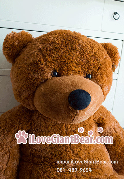 ตุ๊กตาหมีตัวใหญ่ 1.8 เมตร สีน้ำตาล ตากลม ราคาถูก จัดส่งทั่วประเทศ รูปที่ 2