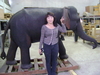 รูปย่อ ช้างไม้สักแกะสลัก 1 คู่ สูงประมาณ 1.70 ยาวประมาณ 2 เมตรกว่า รูปที่1