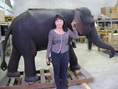 ช้างไม้สักแกะสลัก 1 คู่ สูงประมาณ 1.70 ยาวประมาณ 2 เมตรกว่า