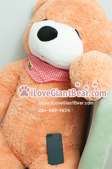 ตุ๊กตาหมีตัวใหญ่ 1.8 เมตร สีชาเย็น หลับตา ราคาถูก ส่งทั่วประเทศ รูปที่ 3