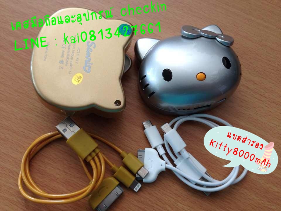 case-checkin รูปที่ 3
