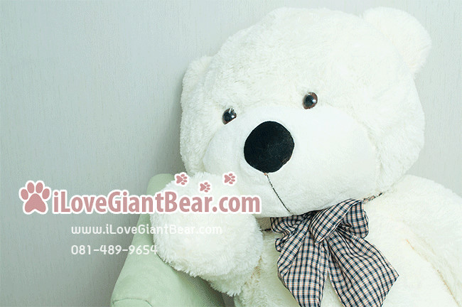ตุ๊กตาหมีตัวใหญ่ 1.8 เมตร สีขาว ตากลม ราคาถูก จัดส่งทั่วประเทศ รูปที่ 4