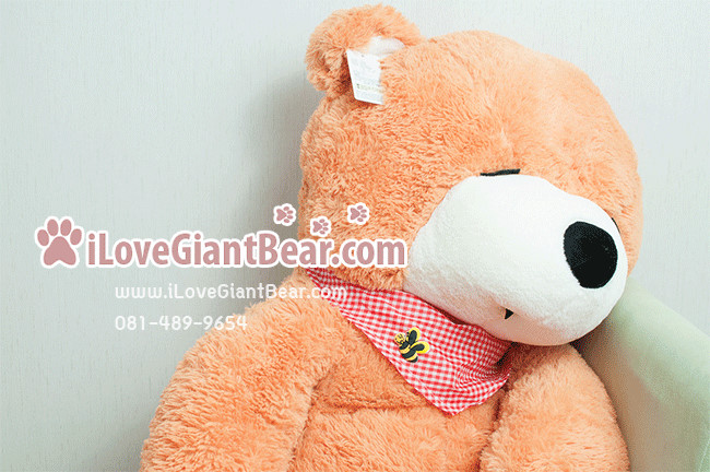 ตุ๊กตาหมีตัวใหญ่ 1.8 เมตร สีชาเย็น หลับตา ราคาถูก ส่งทั่วประเทศ รูปที่ 2