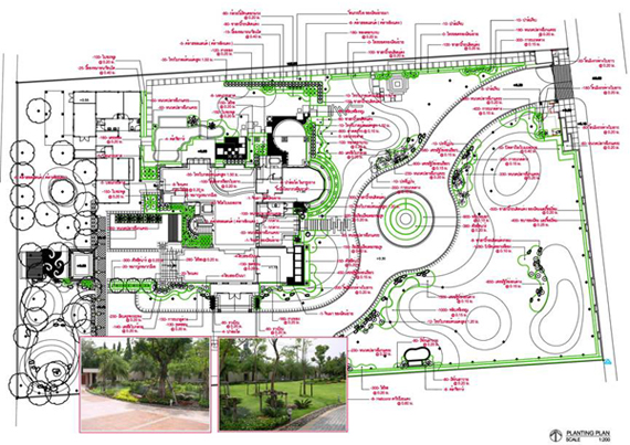 รับจ้างอิสระ(freelance) ออกแบบสวน วางผัง เขียนแบบจัดสวน ออกแบบตกแต่งภูมิทัศน์ Landscape design รูปที่ 4