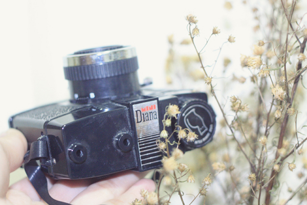 ขาย diana mini มือสอง สภาพดี รูปที่ 3