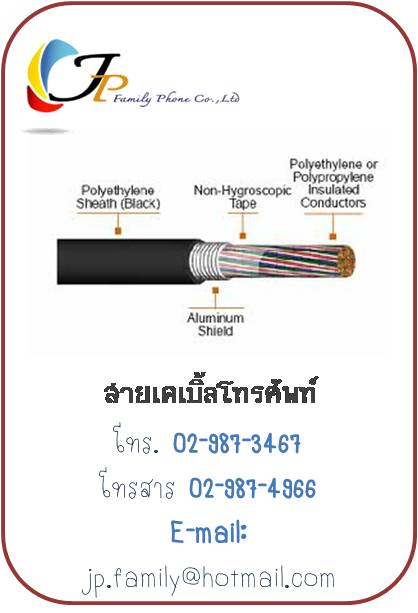 สายโทรศัพท์  4C  สายLAN  สายเคเบิ้ล    รูปที่ 6