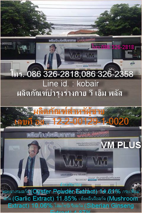 ผลิตภัณฑ์บำรุงร่างกาย วี เอ็ม พลัส VM PLUS รูปที่ 3
