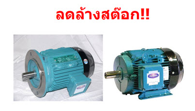 มอเตอร์ไฟฟ้า 3 เฟสราคากระชากใจ มอเตอร์ไฟฟ้ากระแสสลับคืออะไร? รูปที่ 1