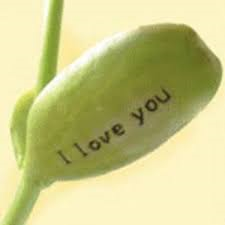 เมล็ดถั่วบอกรัก I Love You ในกล่องไม้ รูปที่ 4