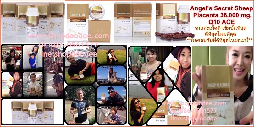 ปลีก-ส่ง Angel’s Secret Sheep Placenta 38,000 mg.Q10 ACE รกแกะเม็ดที่ ดีที่สุด ใหม่ที่สุด รูปที่ 5