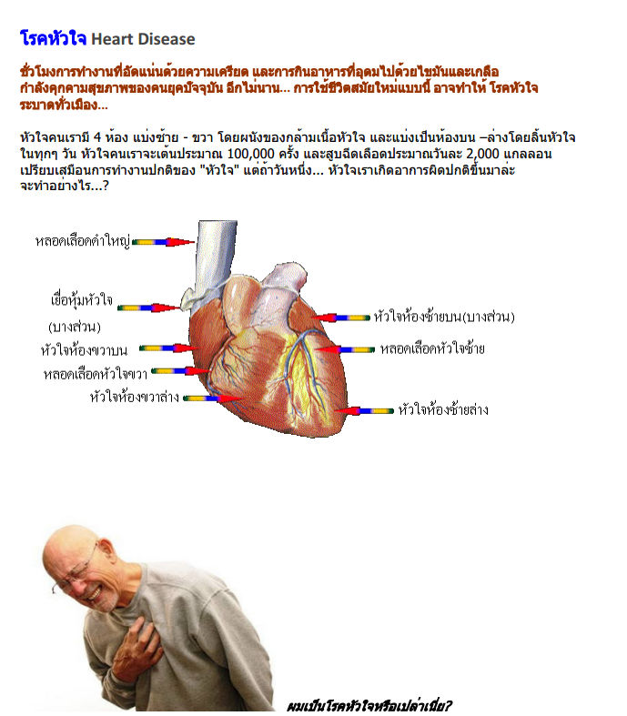 BCV บีซีวี ผลิตภัณฑ์เสริมอาหาร ตรา 4ไล้ฟ์ ทรานสเฟอร์ฟกเตอร์ รูปที่ 4