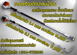 ขายเครื่องตัดปาล์มน้ำมัน นวัตกรรมใหม่ของเครื่องเก็บเกี่ยวผลผลิตปาล์ม ลดต้นทุนแรงงาน ใช้งานได้จริง รูปที่ 1