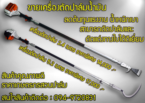 palmcut รูปที่ 3