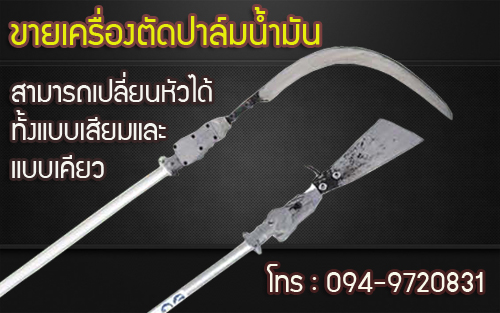 palmcut รูปที่ 4