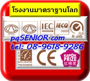 ขาย อ่างอาบน้ำอุปกรณ์สำหรับผู้สูงอายุ นั่งรถเข็น อัมพฤกษ์ ชนิด Walk-in Tub ราคาถูก รูปที่ 6