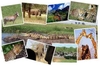 รูปย่อ ทัวร์แอฟริกา ราคาพิเศษ ครบทุกไฮไลท์ ทุกกิจกรรม รูปที่2