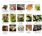 รูปย่อ คอฟฟี่เบรค รับจัดอาหารว่าง อาหารกล่อง ( snack box / coffee break / Meal Box ) รูปที่4