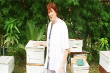 สอนเลี้ยงผึ้ง ได้มาตรฐานสากล กลับไปเลี้ยงผึ้งในสวนหลังบ้านได้ทันที และมีความสุขในการผลิตน้ำผึ้งด้วยตนเอง รูปที่ 1
