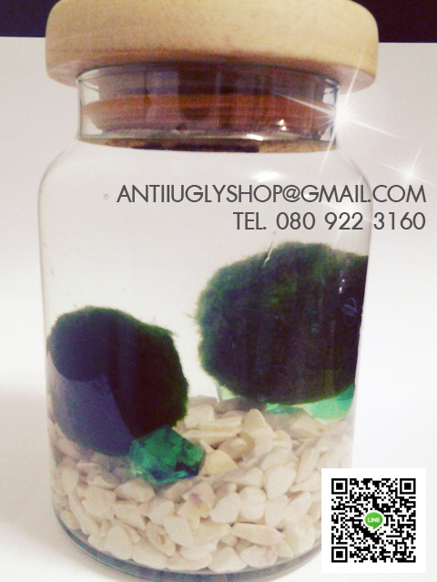 มาริโมะ marimo นำเข้าจากญี่ปุ่น ของแท้100% รูปที่ 5