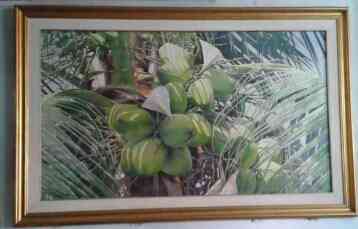 ภาพวาดมะพร้าว เสมือนจริง รูปที่ 2