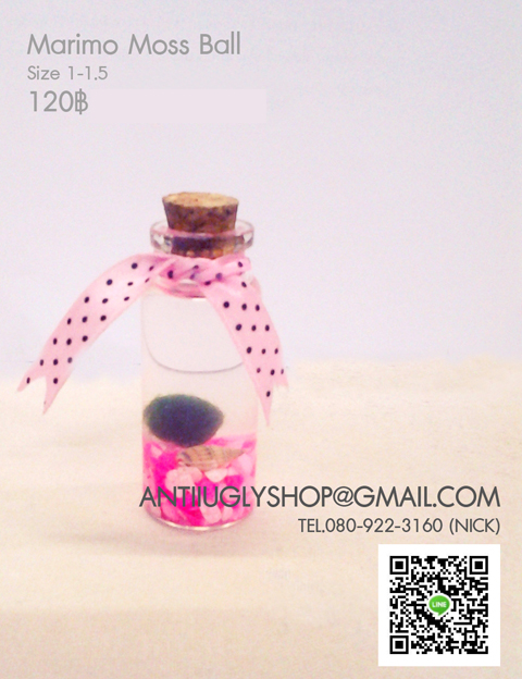 มาริโมะ marimo นำเข้าจากญี่ปุ่น ของแท้100% รูปที่ 3
