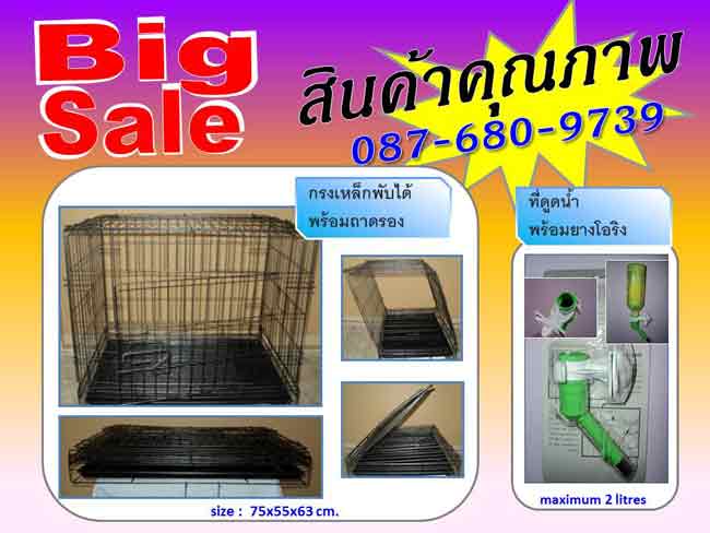 กรงขึ้นเครื่องบิน กล่อง กรง กรงสุนัข กรงหมา กรงแมว กรงกระต่าย กรงเหล็ก  รูปที่ 3