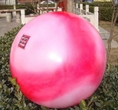ขายถูก ฟิตบอล Fit Ball อุปกรณ์ฟิตเนส ออกกำลังกาย เชียงใหม่