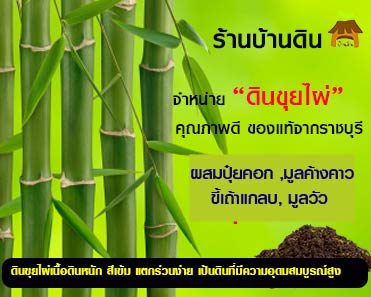 ดินขุยไผ่ รูปที่ 4