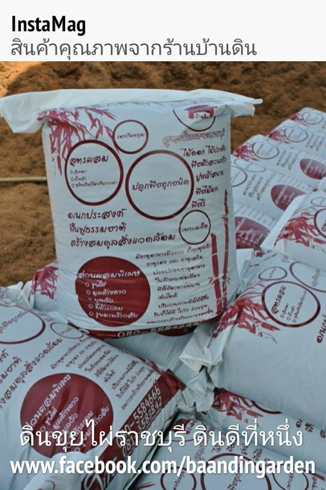 ดินขุยไผ่ รูปที่ 2