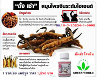ถังเฉ่า แท้ คุณภาพสูง ราคาถูกกว่า รูปที่ 7