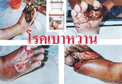 เห็ดหลินจือแท้ ในราคาถูกพิเศษ รูปที่ 4