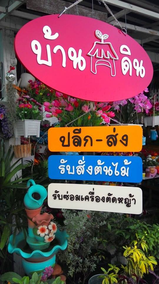 ดินขุยไผ่ รูปที่ 5