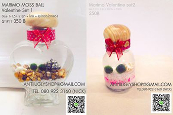 มาริโมะ marimo นำเข้าจากญี่ปุ่น ปลีก - ส่ง ของแท้100% รูปที่ 6