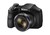 รูปย่อ Review Sony DSCH300/B Digital Camera (Black) รูปที่2