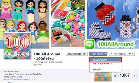 ขายปลีก-ส่ง Pixel Beads/ลูกปัดรีดร้อน สำหรับทำPixel Art / ถนอมสายชาร์ต ราคาถูกที่สุดในไทย คุณภาพดี ส่งตรงจากโรงงาน นำเข้ รูปที่ 4