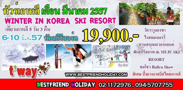 ทัวร์เกาหลี พักสกีรีสอร์ท มี.ค.57 @ 19,900 .- รูปที่ 1