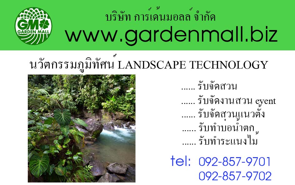 ออกแบบตกแต่งบ้าน และสวน จัดสวนแนวตั้ง จัดสวนงาน Event 092-8579701 รูปที่ 5