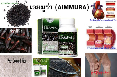 สารสกัดจากงาดำ Sesaminในเอมมูร่า AIMMURA รูปที่ 1